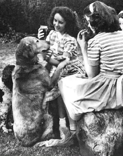 Elizabeth Taylor ​​​