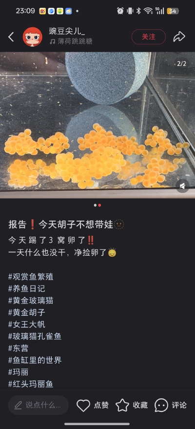 。