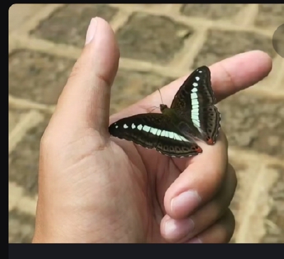 。