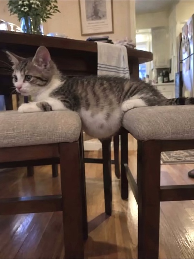 ～