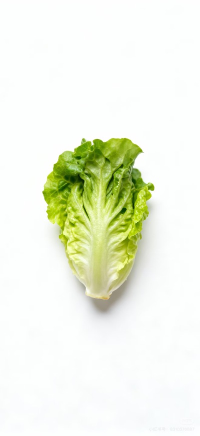 壁纸