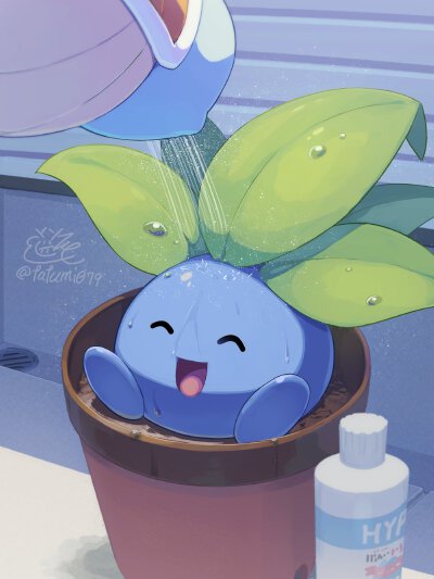 走路草