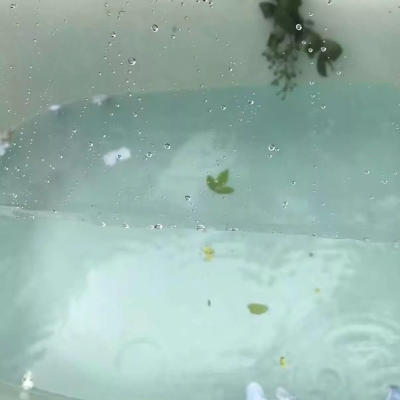 背景图