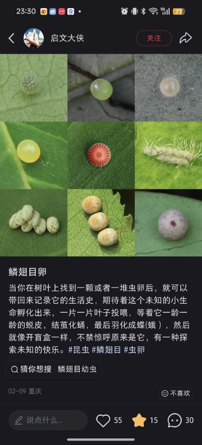 。