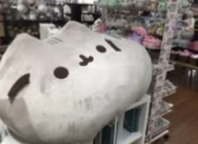˚ ✩ ( •̥ ˕ •̥)