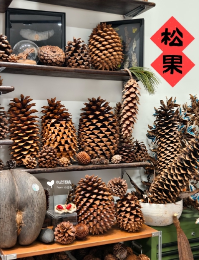 果实