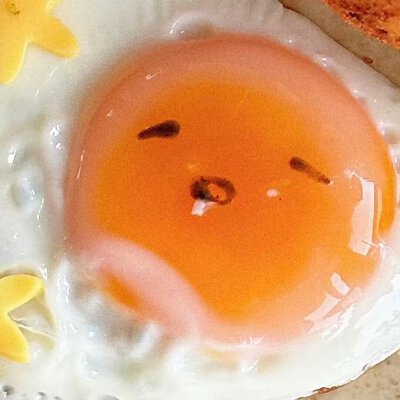 可爱萌物煎蛋