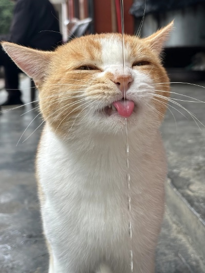 ～