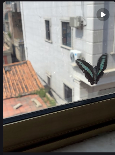 。