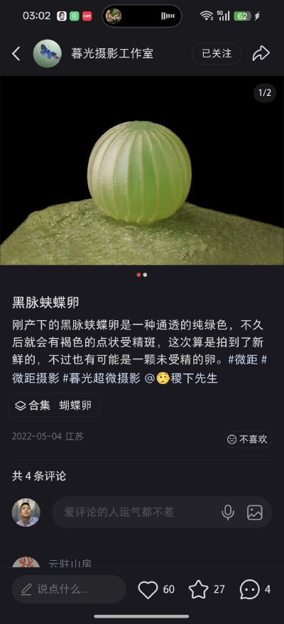 。