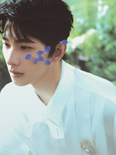 杨洋