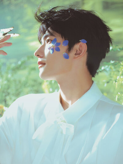 杨洋