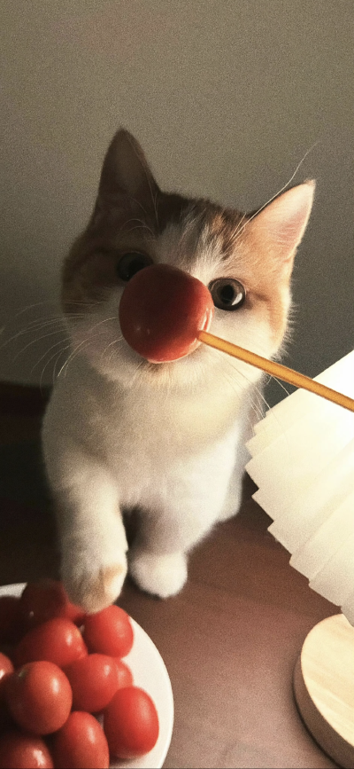 。