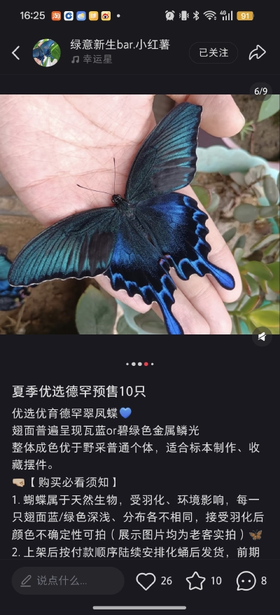 。