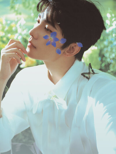 杨洋