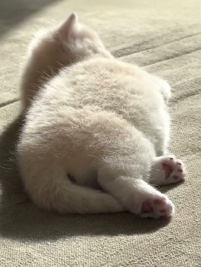 ～