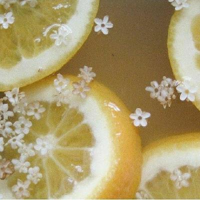 柠檬茶.JPG