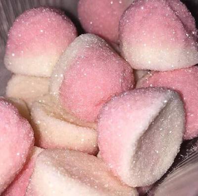 食物系美学