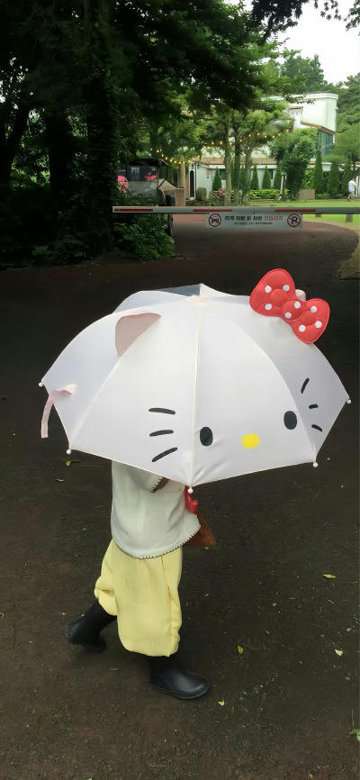 ios27壁纸