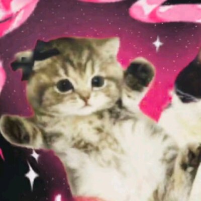可爱古早小猫咪呀