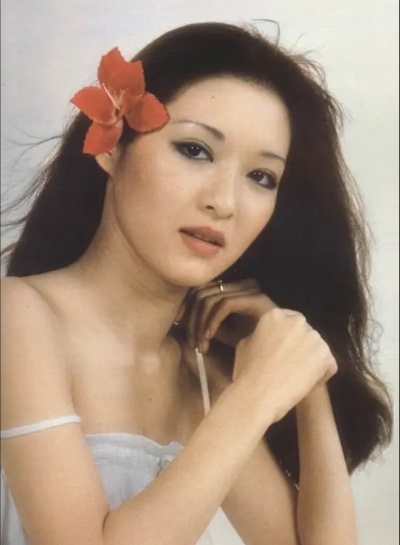 胡因梦