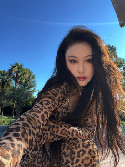 张馨予