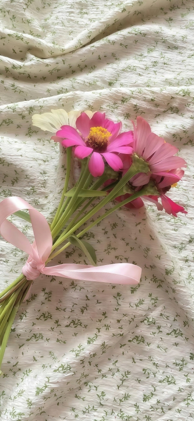 壁纸