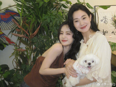 李一桐