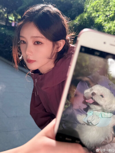 李一桐