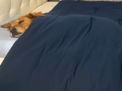 ～
