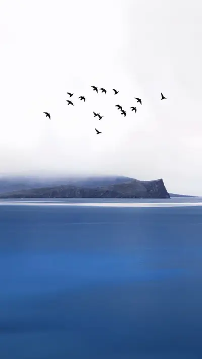 壁纸