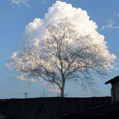 。