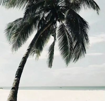 背景图