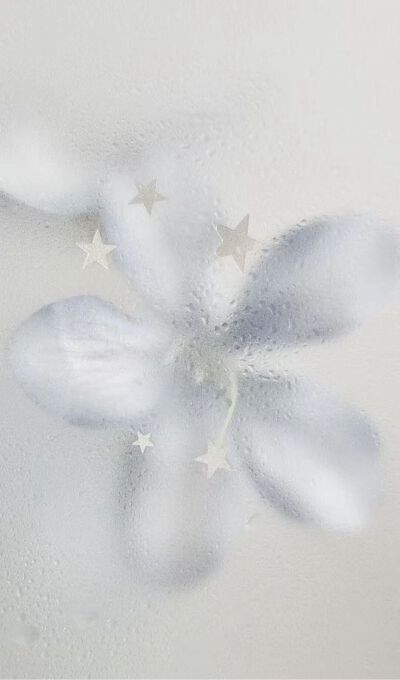 壁纸