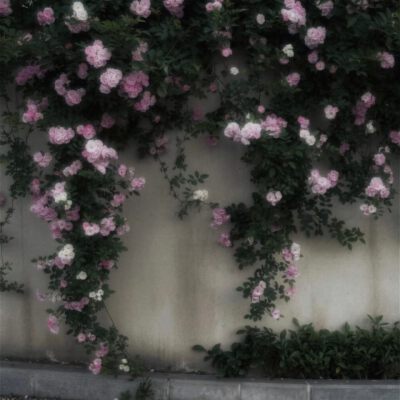 。