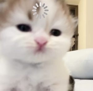 。