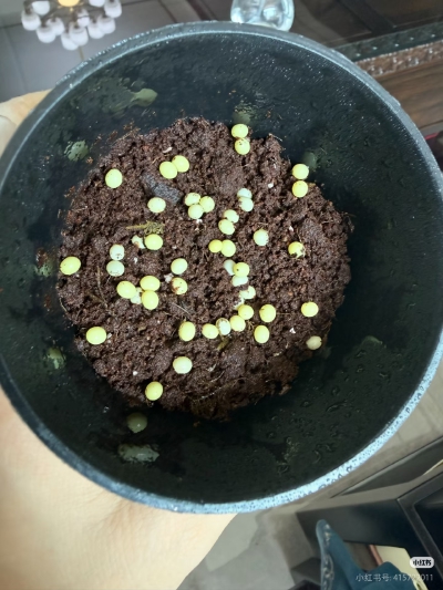 。
