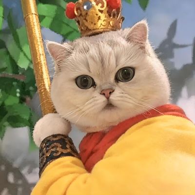 西游喵