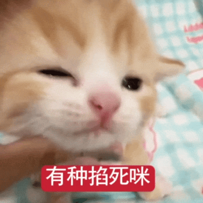 动图表情包
