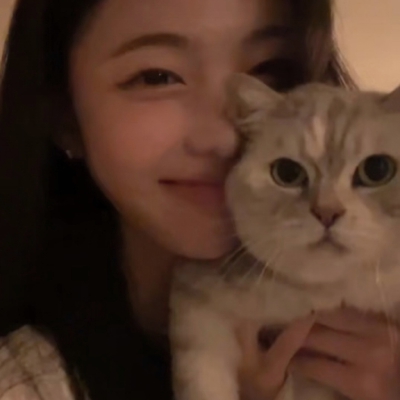做我的猫