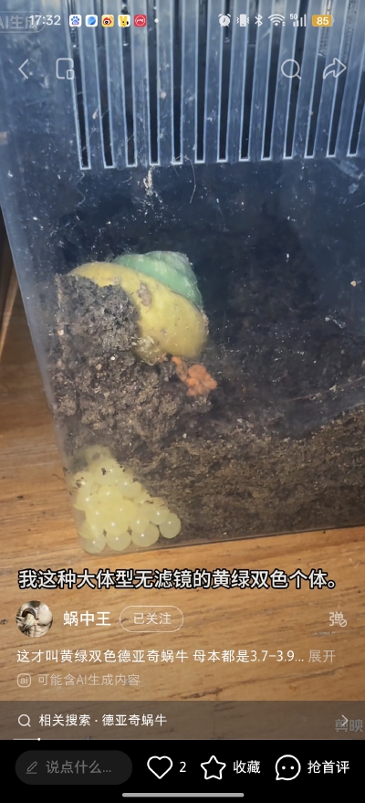 。