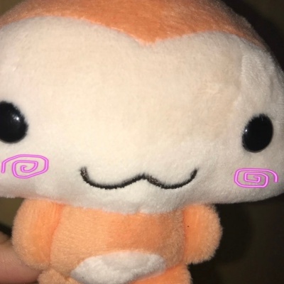 (￣∇￣)