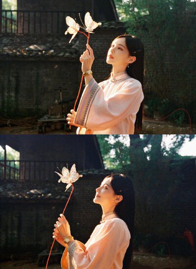 李一桐
