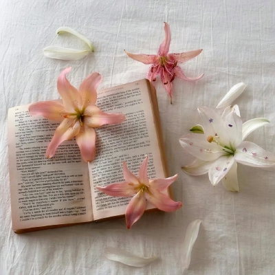 百合花背景图