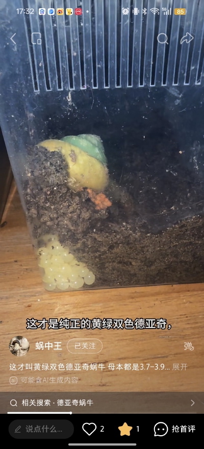 。