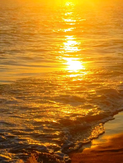 Dream