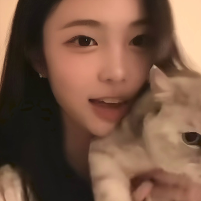 伤太子者当猪