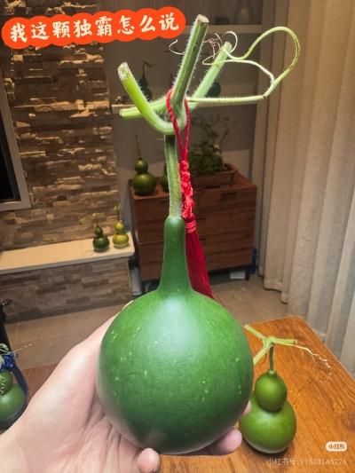 葫芦