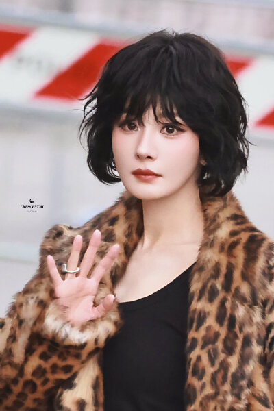 杨幂