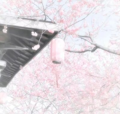 粉色系